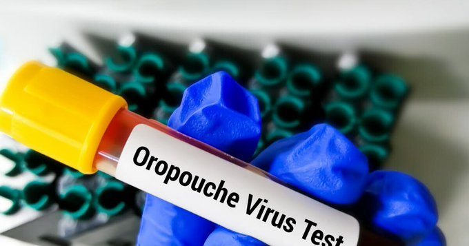Detectan cinco casos del virus del Oropouche en Venezuela