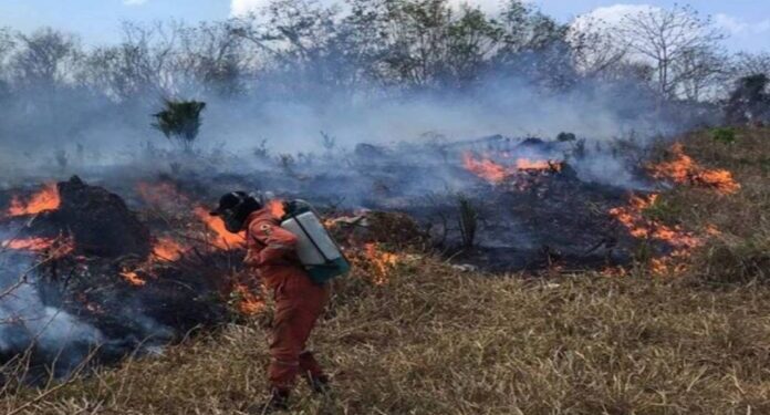 Incendios-en-Merida-25-1-1-1-696x392-1-696x375