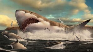 El Megalodón: Revelaciones sobre el tiburón más grande de la historia