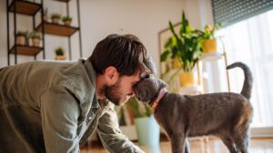 Estos son los beneficios de tener un gato como mascota, según la Inteligencia Artificial