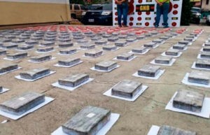 GNB incautó más de 306 kilos de drogas en marzo
