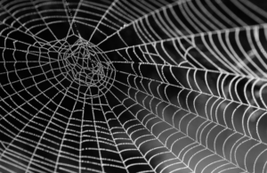 Inspirados en Spider-Man, laboratorio creó una telaraña sintética