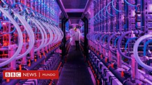 La granja futurista de Islandia que produce un antiguo superalimento