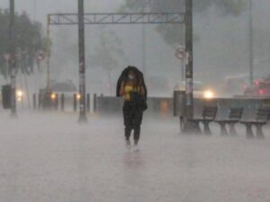 Lluvias en Bogotá: trucos para saber en dónde está lloviendo | Regiones | Economía