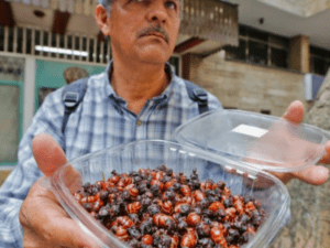 Lo que hacen las zonas del país para defender las críticas a sus platos típicos | Regiones | Economía
