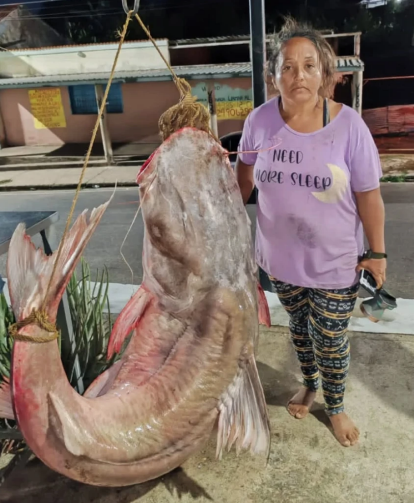 Lola lo hizo de nuevo: capturó un Lau Lau de 121 Kg