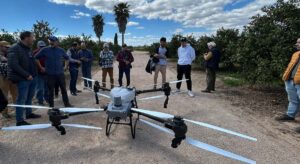Los agricultores valencianos ponen a prueba drones para combatir las plagas en sus campos