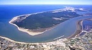 Los barcos podrán capturar en la desembocadura del Guadalquivir cangrejos azules, especie invasora "muy agresiva"