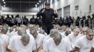 Oficial de ICE dice que muchos venezolanos deportados a El Salvador no tienen antecedentes criminales