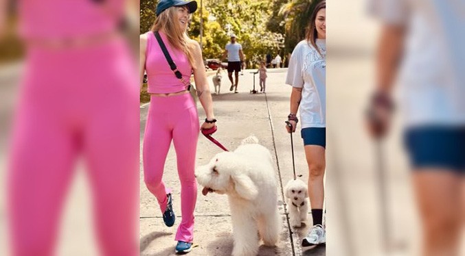 Ordenan investigar asesinato de los perros de influencer 