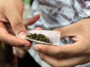 Petro pide al Congreso legalizar la marihuana en Colombia | Gobierno | Economía