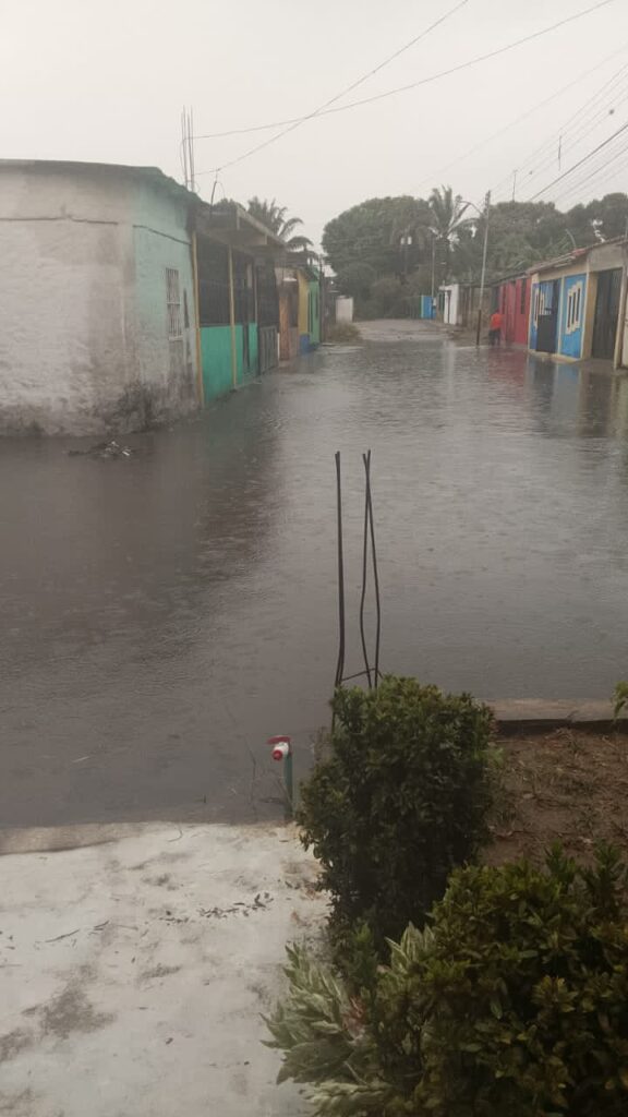 Precipitaciones causaron desbordamientos en Barinas