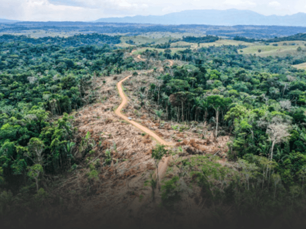 Procuraduría pide anular resolución indígena que permitiría minería en reserva de la Amazonía | Energía