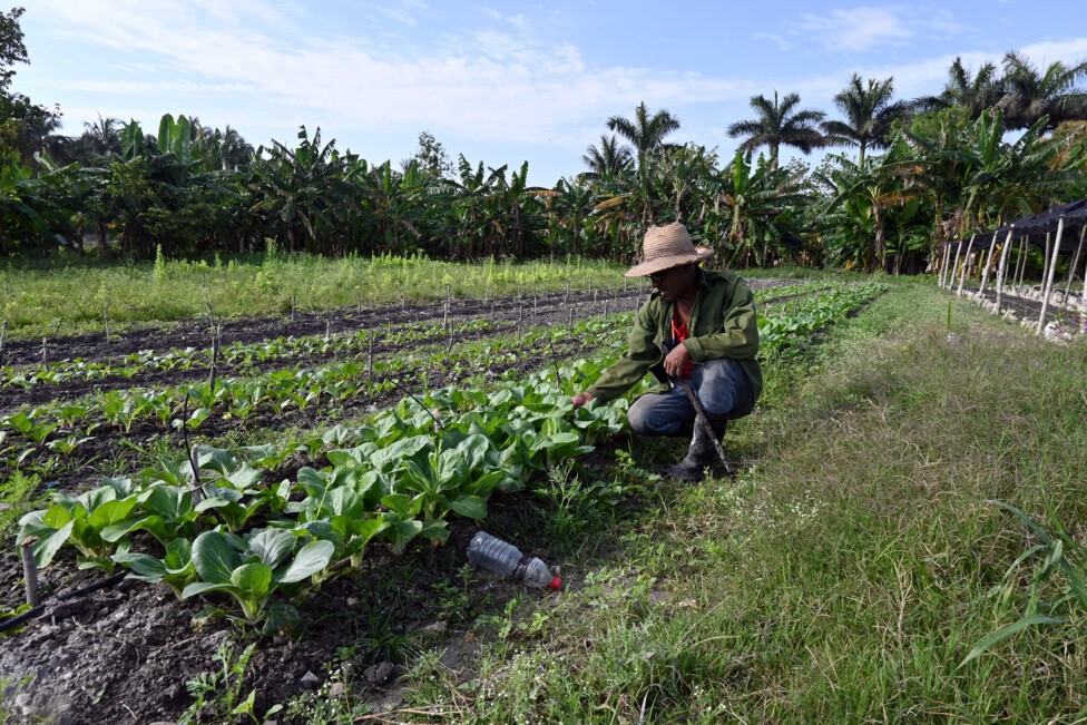 Proyecto de ley sobre posesión de la tierra busca revitalizar agricultura en Cuba : IPS Agencia de Noticias