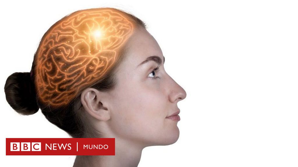 Qué son los sistemas de memoria múltiples y cómo cambiaron nuestra comprensión del cerebro