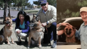 Se conoce cómo lograron encontrar cuerpos del actor Gene Hackman y su esposa gracias a dos perros