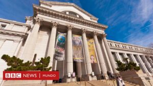 Trump ordena purgar los museos Smithsonian de ideología "antiestadounidense"
