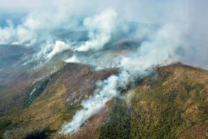 Un incendio forestal devora 300 hectáreas de bosque en el oeste de Cuba - AlbertoNews