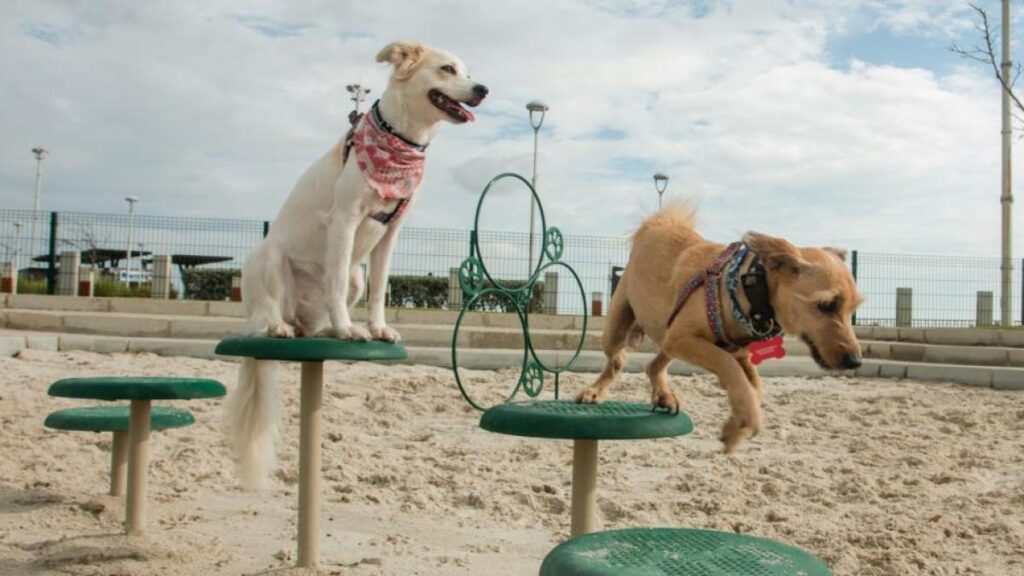 el Parque de Mascotas en el Gran Malecón