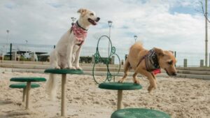 el Parque de Mascotas en el Gran Malecón