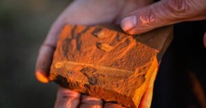 este pez prehistórico murió justo después de comer y conserva hasta el parásito que llevaba en la cola