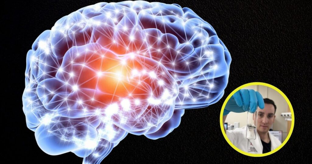 estudio revela su alarmante presencia en tejido humano