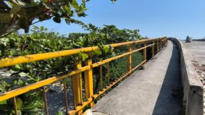 puente inconcluso de la carrera 50 bajo la lupa del Concejo