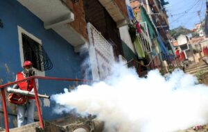 ¡Fumigación! Para evitar que llegue el virus Oropouche a La Guaira