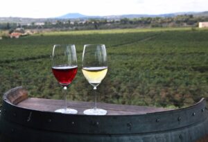¿Es el vino tinto más saludable que el blanco? Uno de los dos aumenta el riesgo de cáncer de piel
