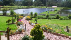 ¿Mucho frío en Bogotá? a menos de una hora quedan dos pueblos para visitar con clima templado