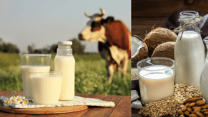 ¿cuál es más saludable y mejor para la digestión?