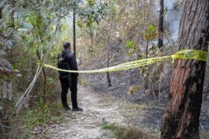 Asesinados comerciantes de pollos en sector Yuma, Gügüe