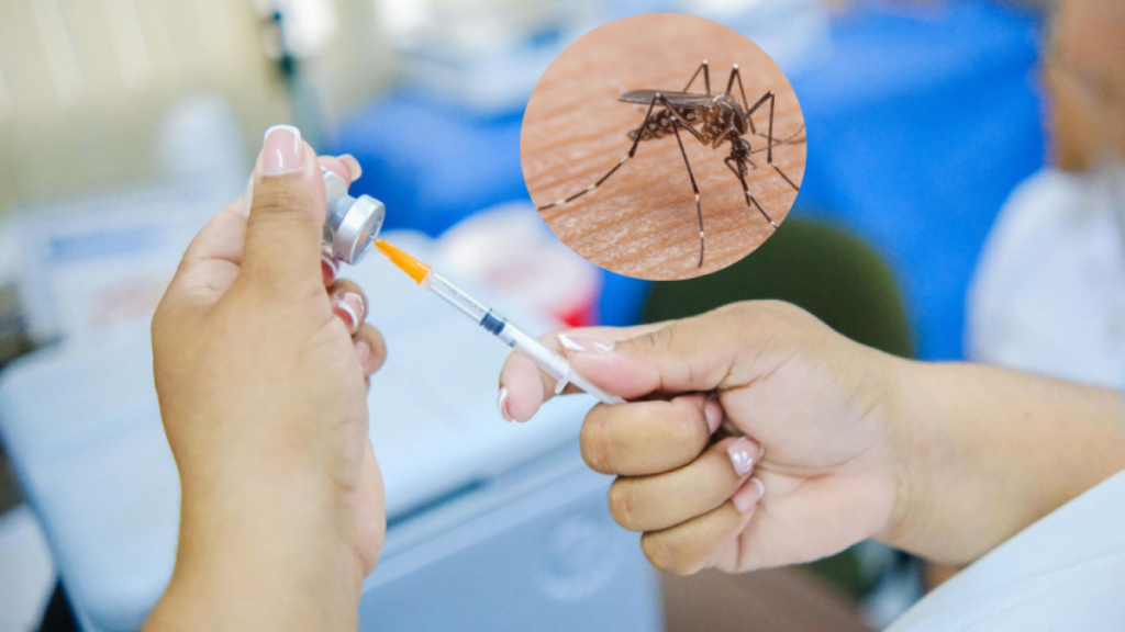 Atlántico y Cartagena refuerzan acciones preventivas ante alerta nacional por fiebre amarilla