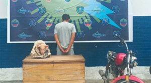 Capturan a un sujeto por robar un cerdo en Machiques