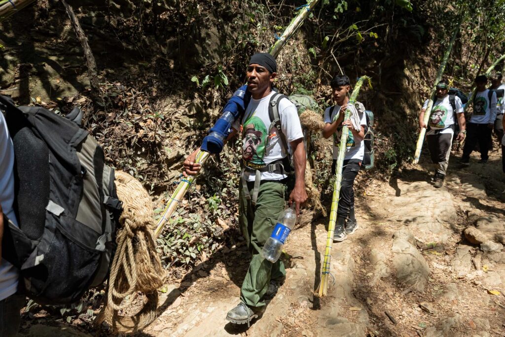 Cientos de personas bajan del principal cerro de Caracas con la palma del Domingo de Ramos - AlbertoNews