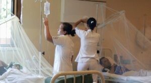 Colombia declara emergencia sanitaria por fiebre amarilla