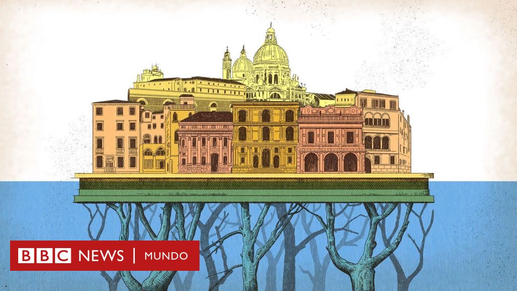 Cómo un "bosque invertido" de millones de árboles sostiene Venecia desde hace 1600 años