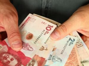 Créditos populares, con alto potencial | Finanzas | Economía