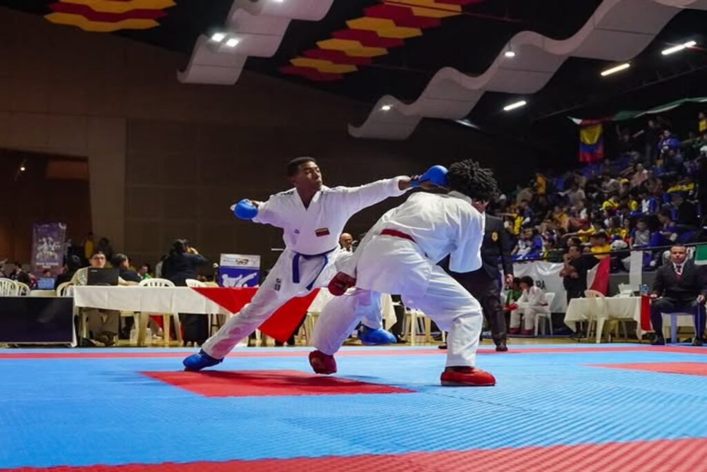 Karate (3)