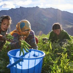 Día de la Tierra 2025: 7 acciones (cotidianas) a favor del planeta