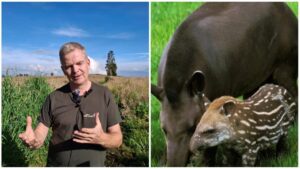 El danés que se enamoró de Colombia y creó una reserva natural para proteger la biodiversidad del Eje Cafetero