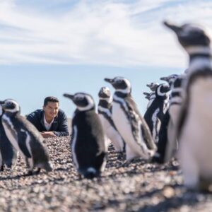 El explorador argentino que ayuda a proteger a millones de pingüinos gana el premio de la National Geographic Society
