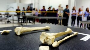 El laboratorio con el que agilizarán la identificación de víctimas del conflicto armado