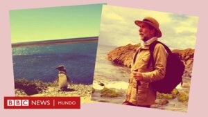El pingüino que siguió a un profesor a su casa en una playa de Uruguay (y se quedó a vivir con él en Argentina)