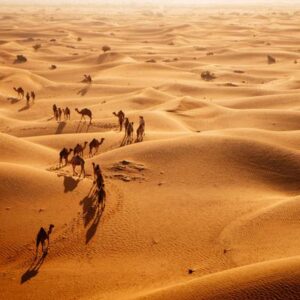 El vasto desierto que fue un paraíso verde y exuberante en el pasado, según un estudio científico