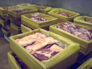 Exportaciones ganaderas logran récord de cinco años en 2025 | Agro | Economía