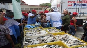 Gobierno distribuye cinco millones de proteína pesquera en el país