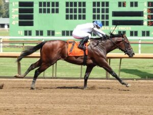 Javier Castellano estará con Owen Almighty en el Derby