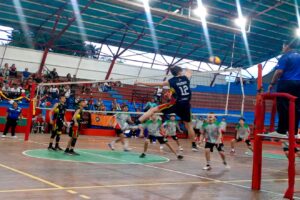 Voleibol (2)