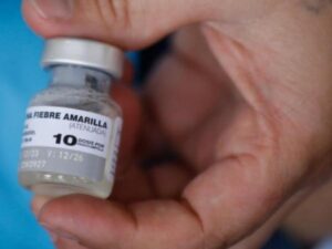 Lo que hay que saber sobre el brote de fiebre amarilla que tiene al país en emergencia sanitaria | Regiones | Economía